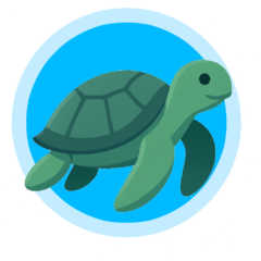 湘南|江の島イベント情報