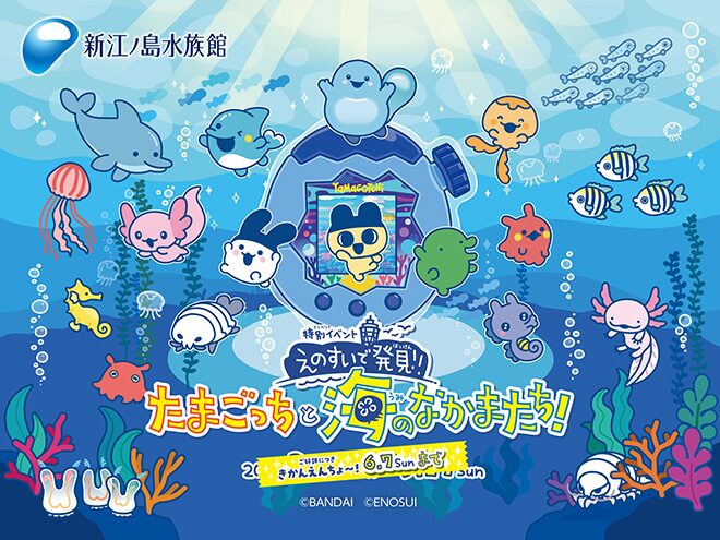 えのすいで発見!!たまごっちと海のなかまたち!｜3月14日（土）〜6月7日（日）新江ノ島水族館で開催！たまごっちと海の生き物の特別イベント